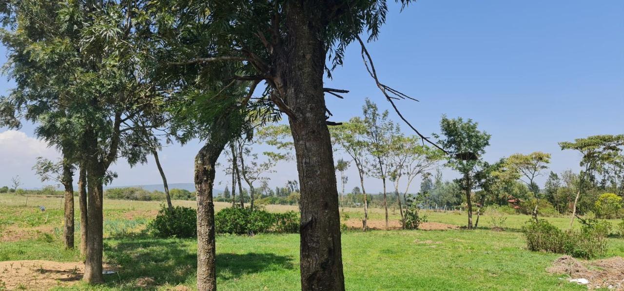 Le Tai Village Resort Near Solio Game Reserve Mweiga Екстер'єр фото